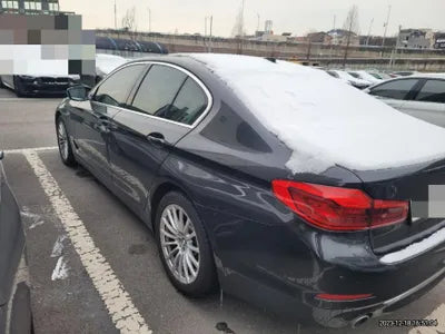2019 BMW 520 WBAJK7108KGL28831 VIN:WBAJK7108KGL28831