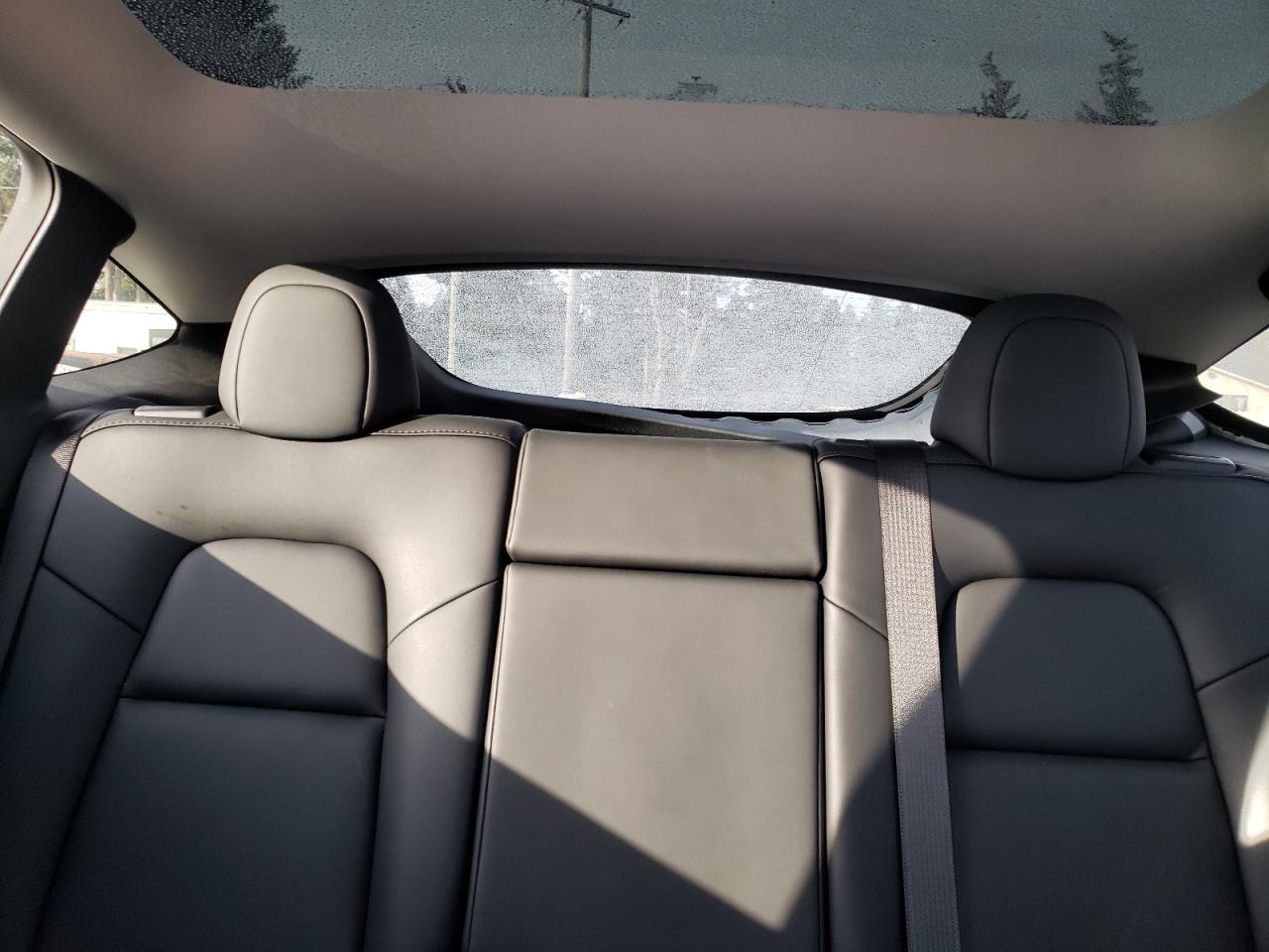 2023 TESLA MODEL Y  VIN:7SAYGDEE9PF623156
