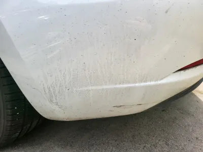 2020 Tesla Model 3 5YJ3E1EB3LF756250 VIN:5YJ3E1EB3LF756250