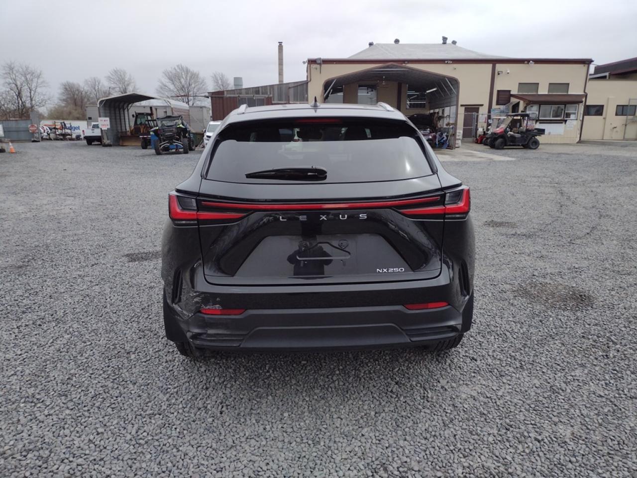 2022 LEXUS NX 250 VIN:JTJADCAZ6N2001315