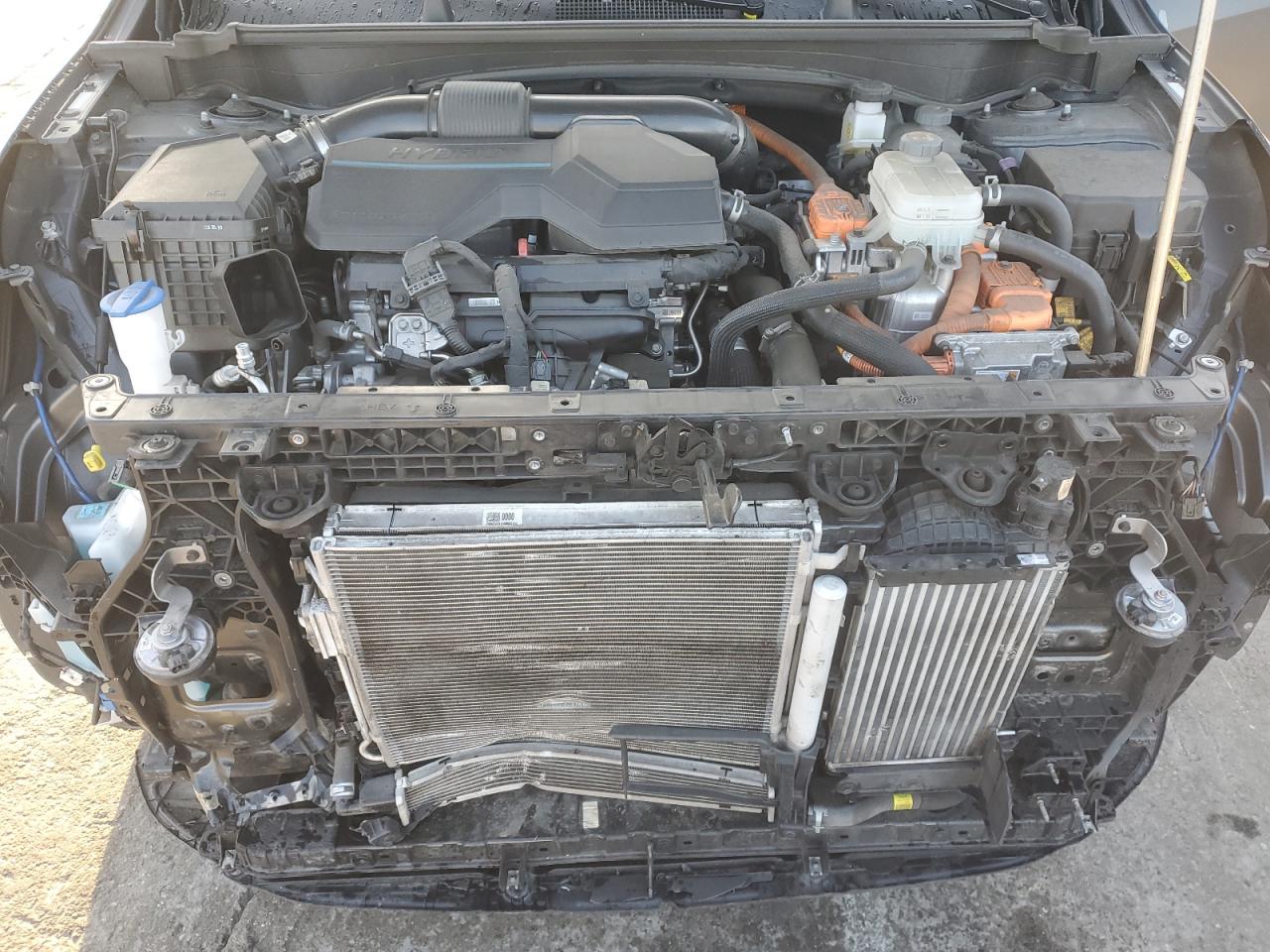2023 KIA SPORTAGE X LINE VIN:KNDPYDAH8P7097842