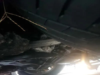 2021 Audi A7 WAUZZZF21MN085219 VIN:WAUZZZF21MN085219