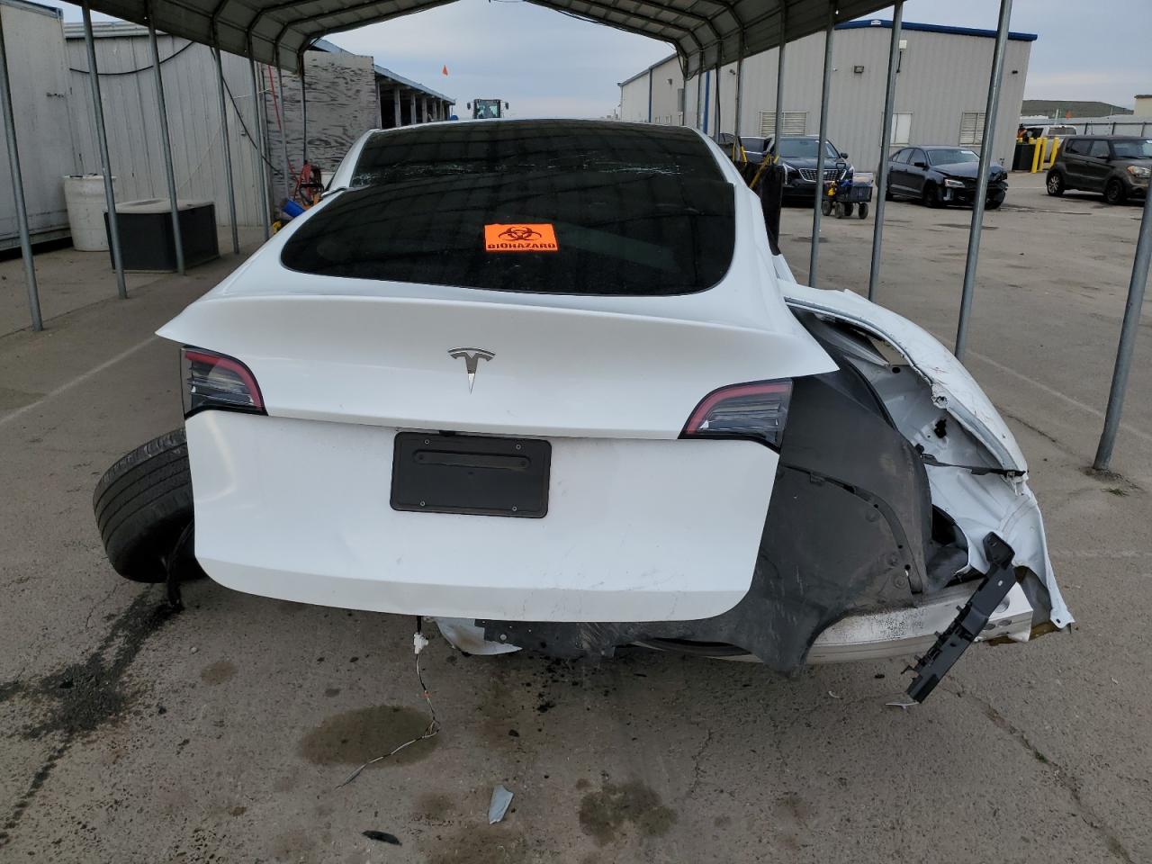 2024 TESLA MODEL Y  VIN:7SAYGDED2RF155992