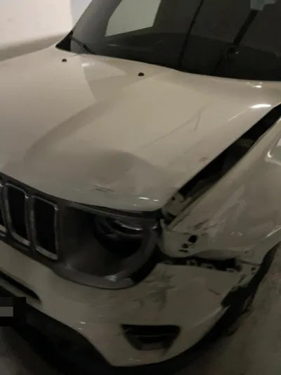 2020 Jeep Renegade 1C4BU0000LPM18816 VIN:1C4BU0000LPM18816