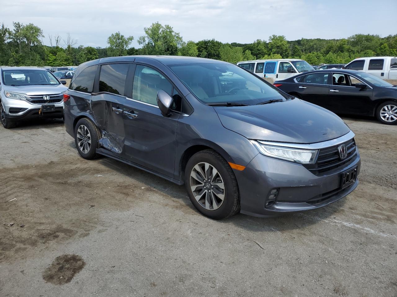 2024 HONDA ODYSSEY EXL VIN:5FNRL6H64RB017943