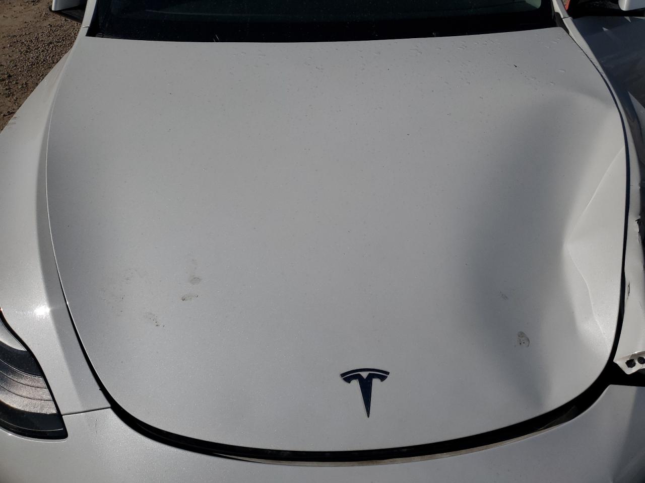 2023 TESLA MODEL Y  VIN:7SAYGDEE2PF752209