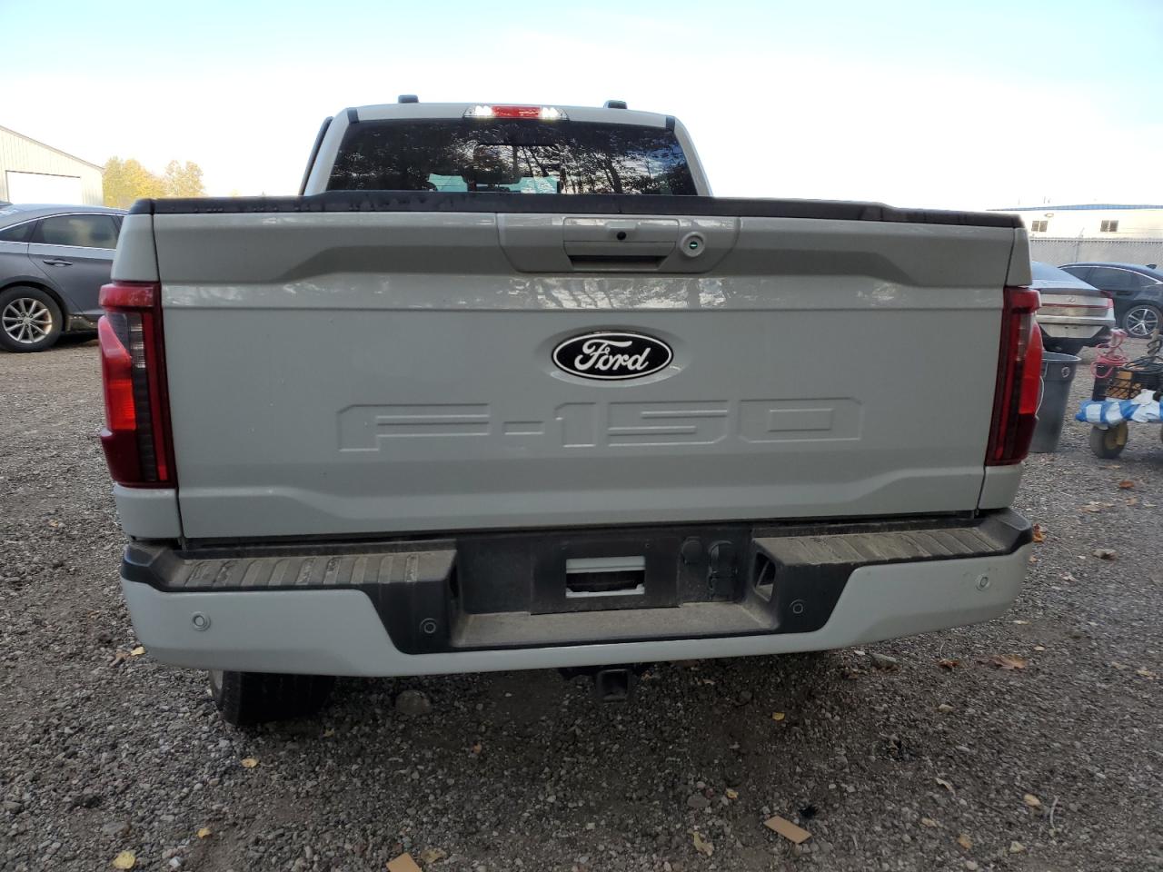 2024 FORD F150 XLT VIN:1FTFW3L82RFB46048