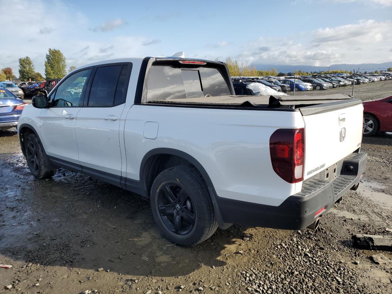 2022 HONDA RIDGELINE BLACK EDITION VIN:5FPYK3F85NB004539