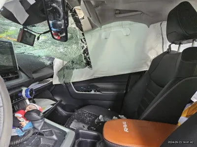 2019 Toyota RAV4 VIN: