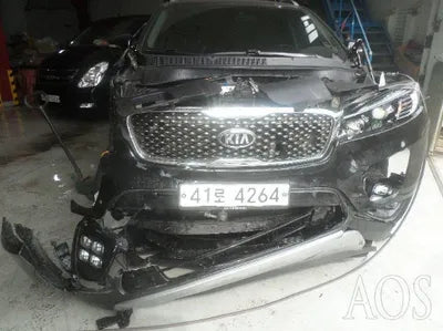 2017 Kia Sorento 698KMKNAPK81ABHA3 VIN:698KMKNAPK81ABHA3