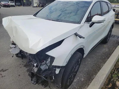 2022 Kia Sportage KNAPV81BGNK023585 VIN:KNAPV81BGNK023585