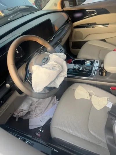 2021 Kia Carnival KNANE81BBMS000820 VIN:KNANE81BBMS000820