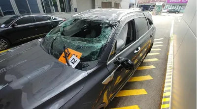 2021 Kia Sorento KNARG81BGMA017381 VIN:KNARG81BGMA017381