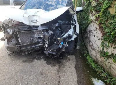 2021 Kia Carnival KNANE81BBMS067853 VIN:KNANE81BBMS067853