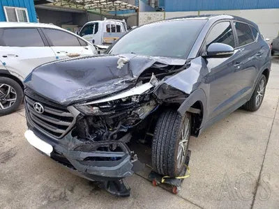 2016 Hyundai Tucson KMHJ381ABGU013916 VIN:KMHJ381ABGU013916