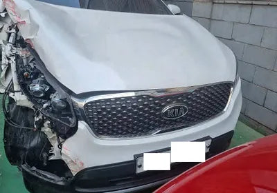 2016 Kia Sorento KNAPG81ABGA141824 VIN:KNAPG81ABGA141824