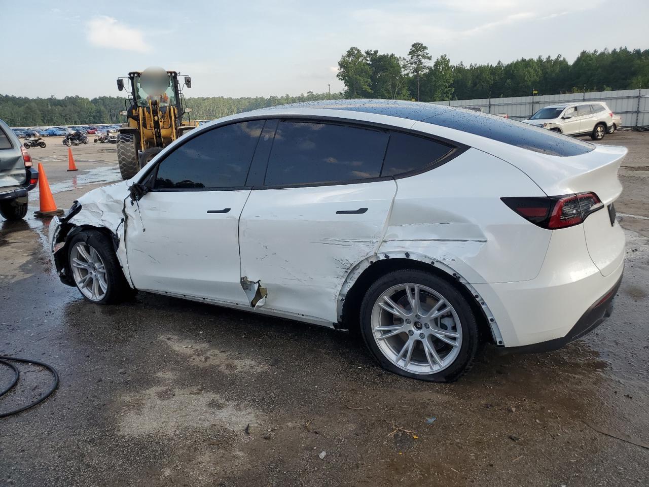 2023 TESLA MODEL Y  VIN:7SAYGDEE1PA162659