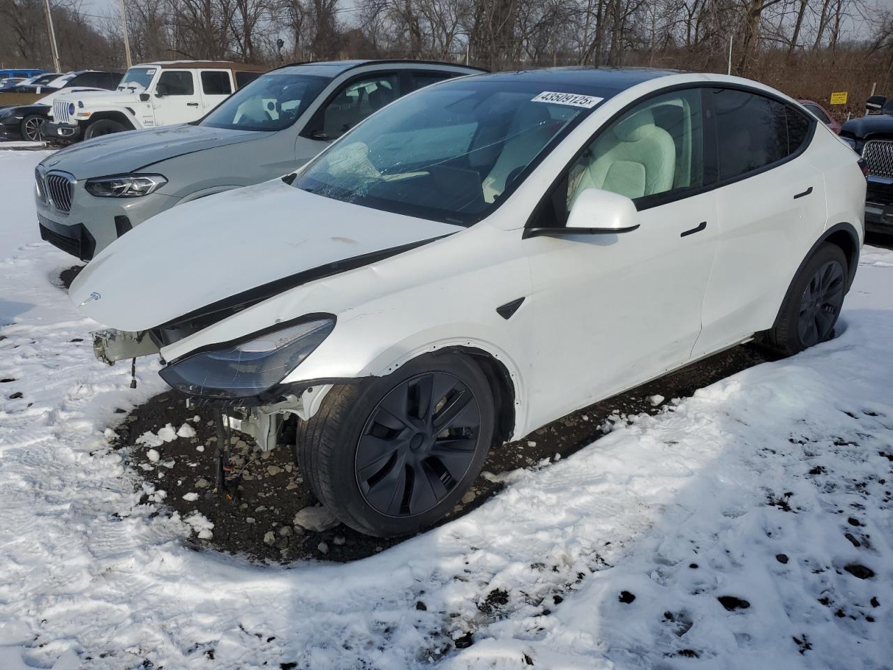 2024 TESLA MODEL Y  VIN:7SAYGDEE0RA308715