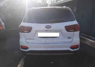 2020 Kia Sorento KNAPK81BDLA572897 VIN:KNAPK81BDLA572897