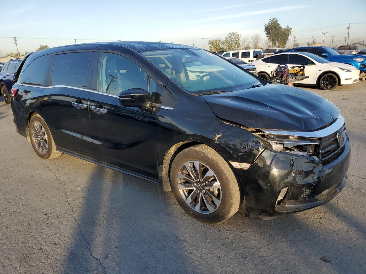 2023 HONDA ODYSSEY EXL VIN:5FNRL6H66PB060032