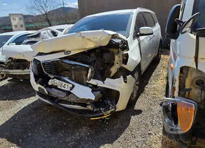 2016 Kia Carnival KNAMC81ABGS217944 VIN:KNAMC81ABGS217944