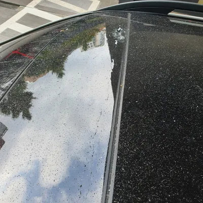 2022 Mercedes-Benz E 53 VIN: