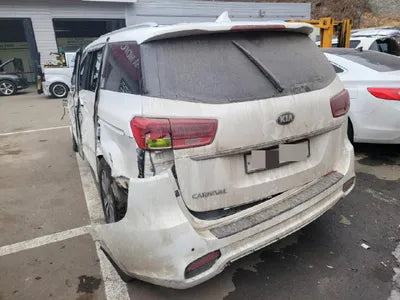 2019 Kia Carnival KNAMB81ABKS592317 VIN:KNAMB81ABKS592317