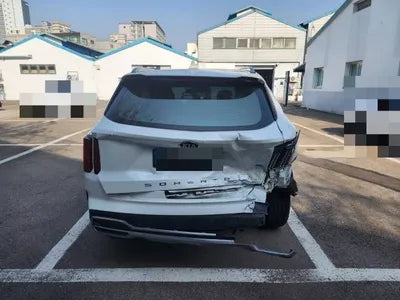 2021 Kia Sorento KNARL81BGMA107329 VIN:KNARL81BGMA107329