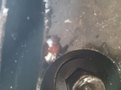 2021 Hyundai Ioniq VIN: