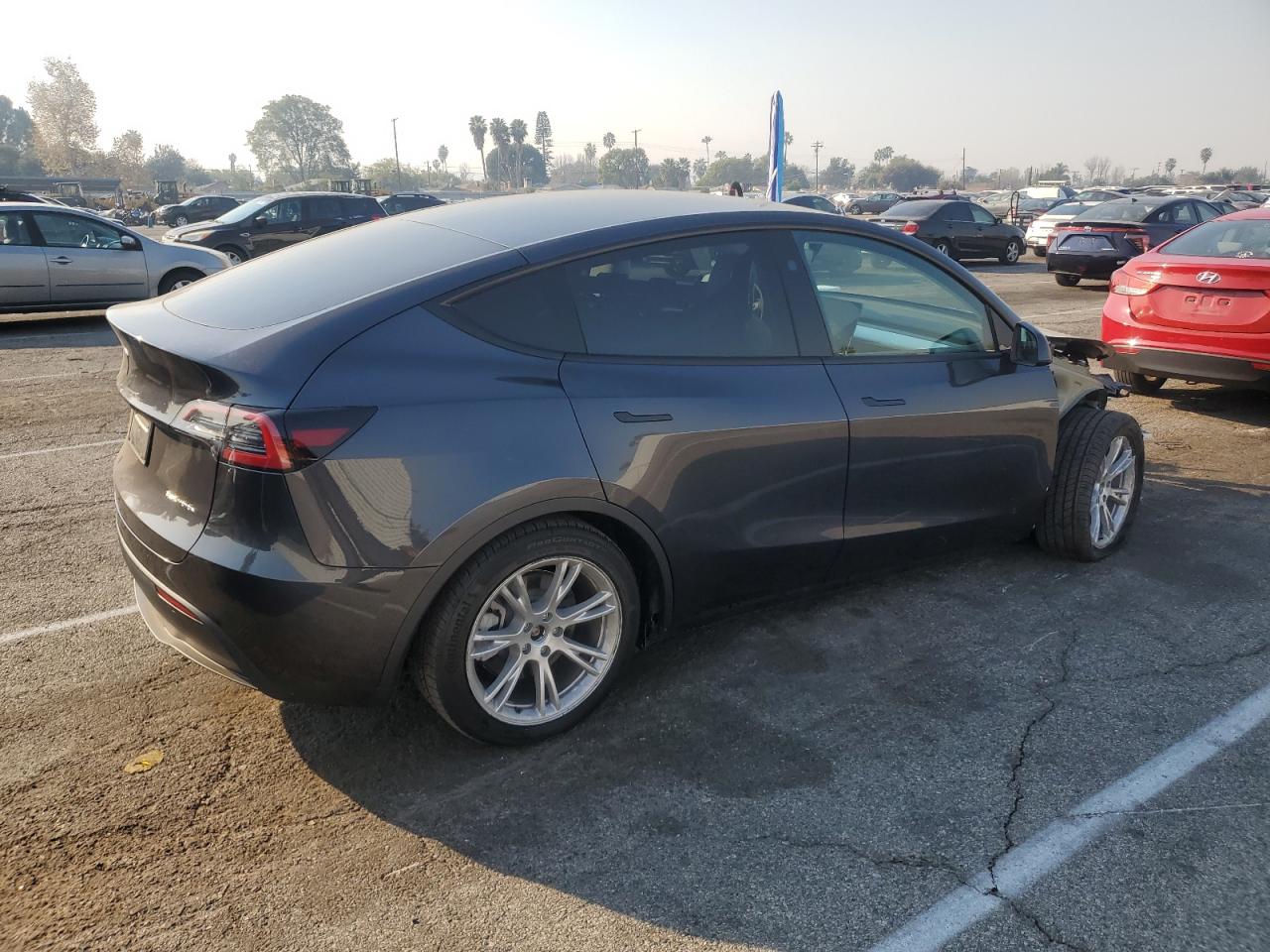 2024 TESLA MODEL Y  VIN:7SAYGDEE1RF079397