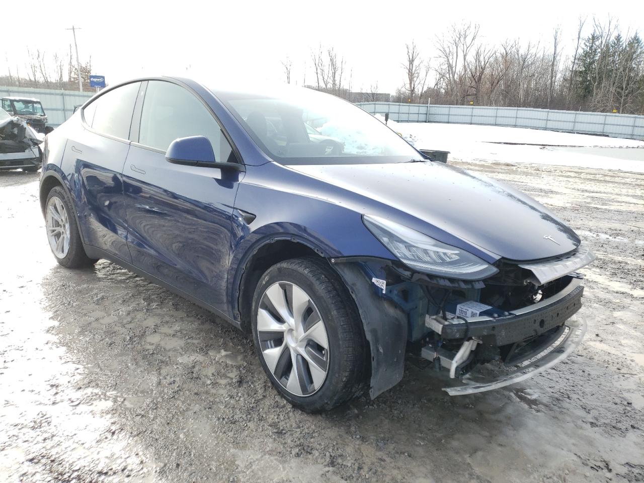 2023 TESLA MODEL Y  VIN:7SAYGDEE8PA124300