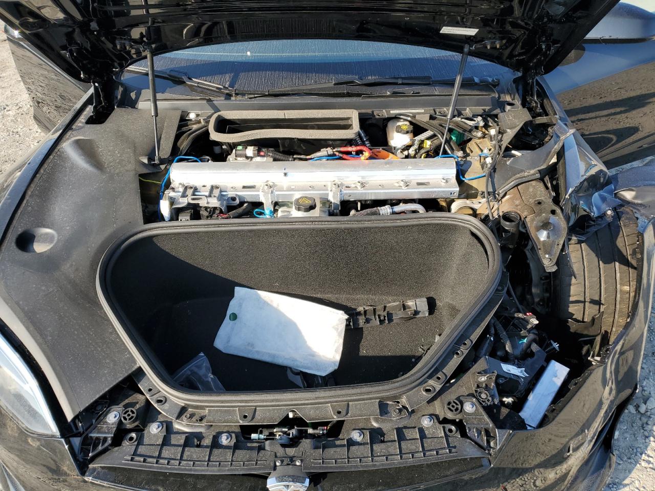 2024 TESLA MODEL S  VIN:5YJSA1E66RF544459