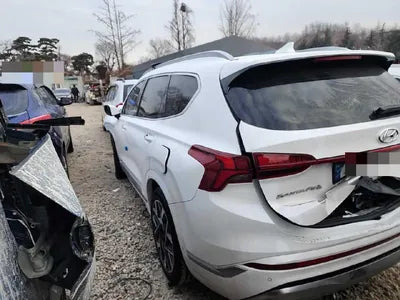 2021 Hyundai Santa FE KMHS281HGMU332646 VIN:KMHS281HGMU332646
