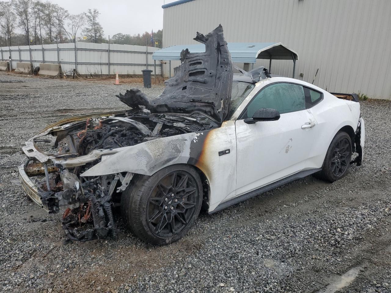 2024 FORD MUSTANG GT VIN:1FA6P8CF5R5405930