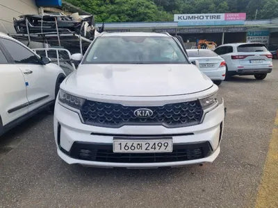 2021 Kia Sorento KNARL81BHMA045694 VIN:KNARL81BHMA045694