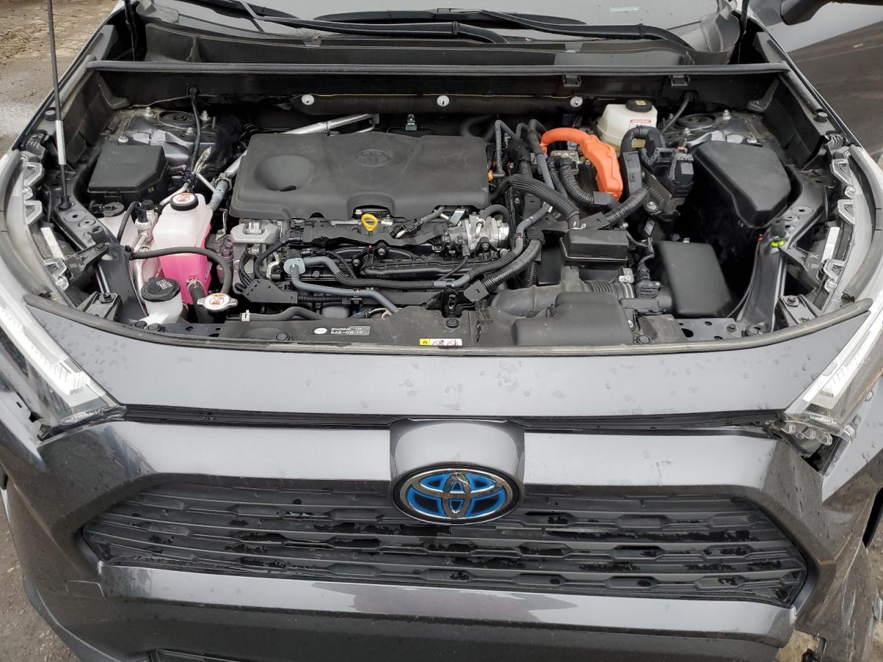 2022 TOYOTA RAV4 XLE VIN:JTMRWRFV9ND569491