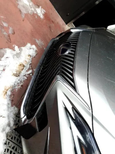 2020 Lexus ES 300 VIN: