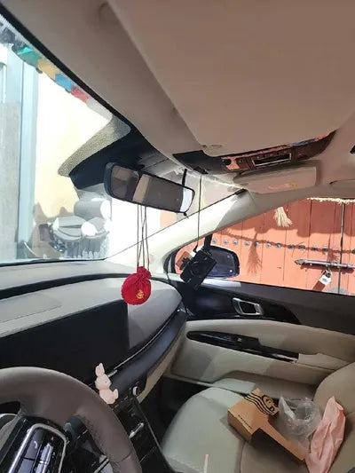 2020 Kia Carnival VIN: