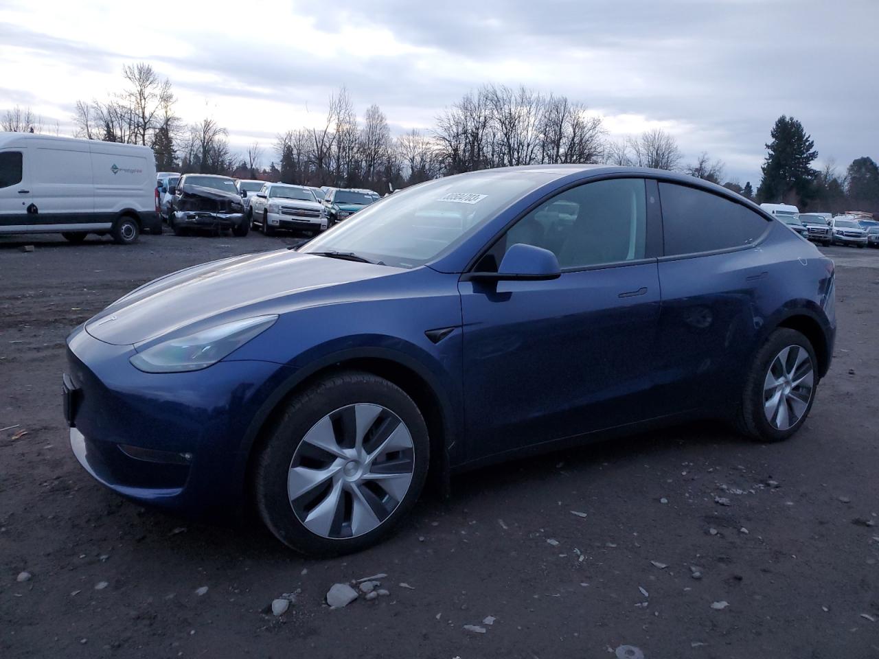 2023 TESLA MODEL Y  VIN:7SAYGDEE9PF813586