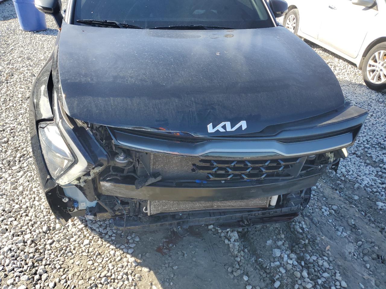 2023 KIA SPORTAGE X LINE VIN:5XYK6CAF4PG055955