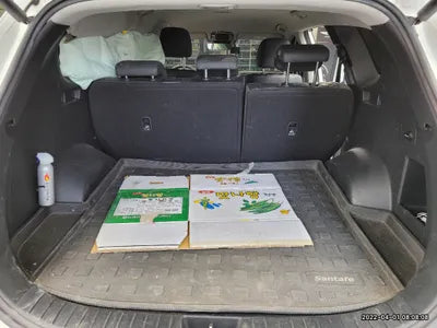 2021 Hyundai Santa FE KMHS281HGMU344697 VIN:KMHS281HGMU344697