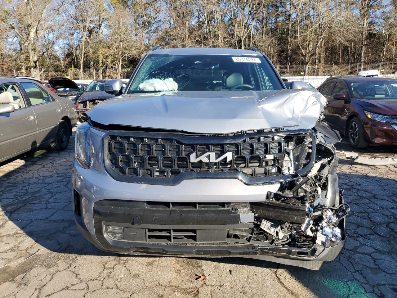 2024 KIA TELLURIDE SX VIN:5XYP5DGC1RG541895