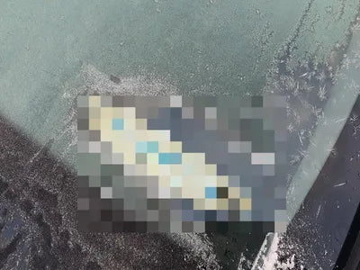 2016 Hyundai Santa FE VIN: