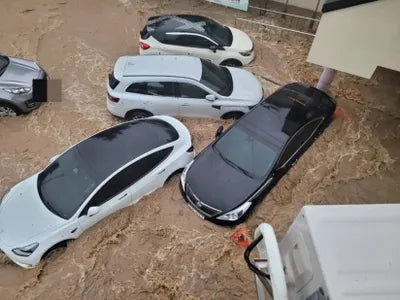 2021 Tesla Model 3 5YJ3E1EB4MF892162 VIN:5YJ3E1EB4MF892162