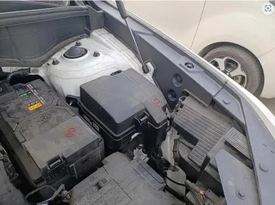 2021 Kia Sorento KNARK81BHMA010781 VIN:KNARK81BHMA010781