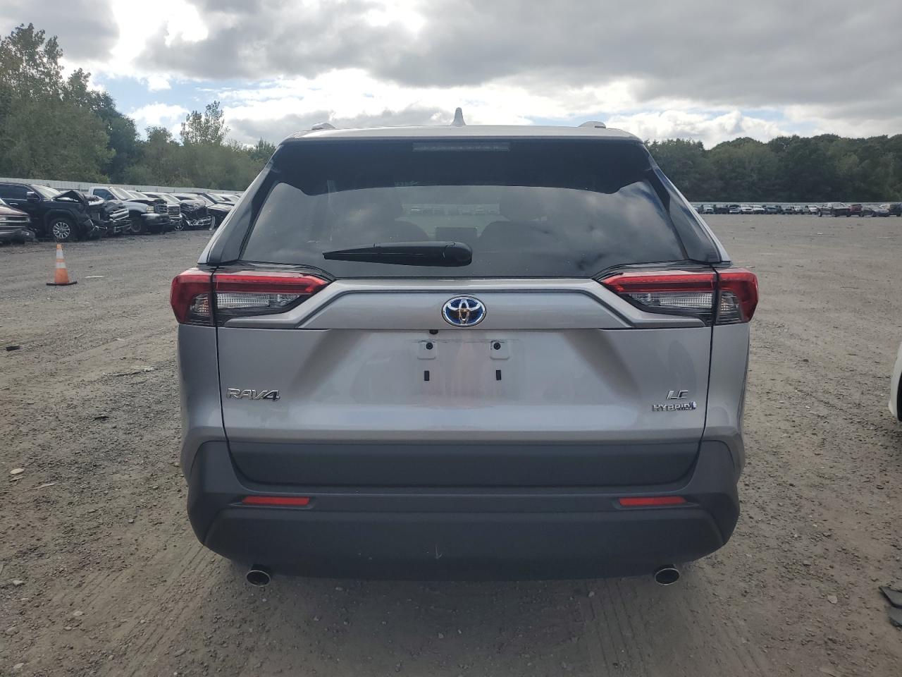 2024 TOYOTA RAV4 LE VIN:JTMLWRFV9RD243752