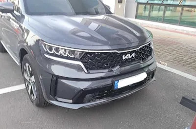 2022 Kia Sorento KNARF81FGNA161865 VIN:KNARF81FGNA161865