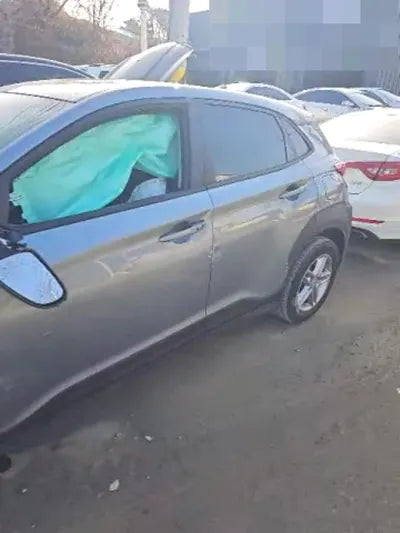 2020 Hyundai Kona KMHK4815GLU652562 VIN:KMHK4815GLU652562