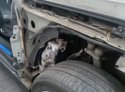 2018 Audi A6 WAUZZZ4G0JN103543 VIN:WAUZZZ4G0JN103543