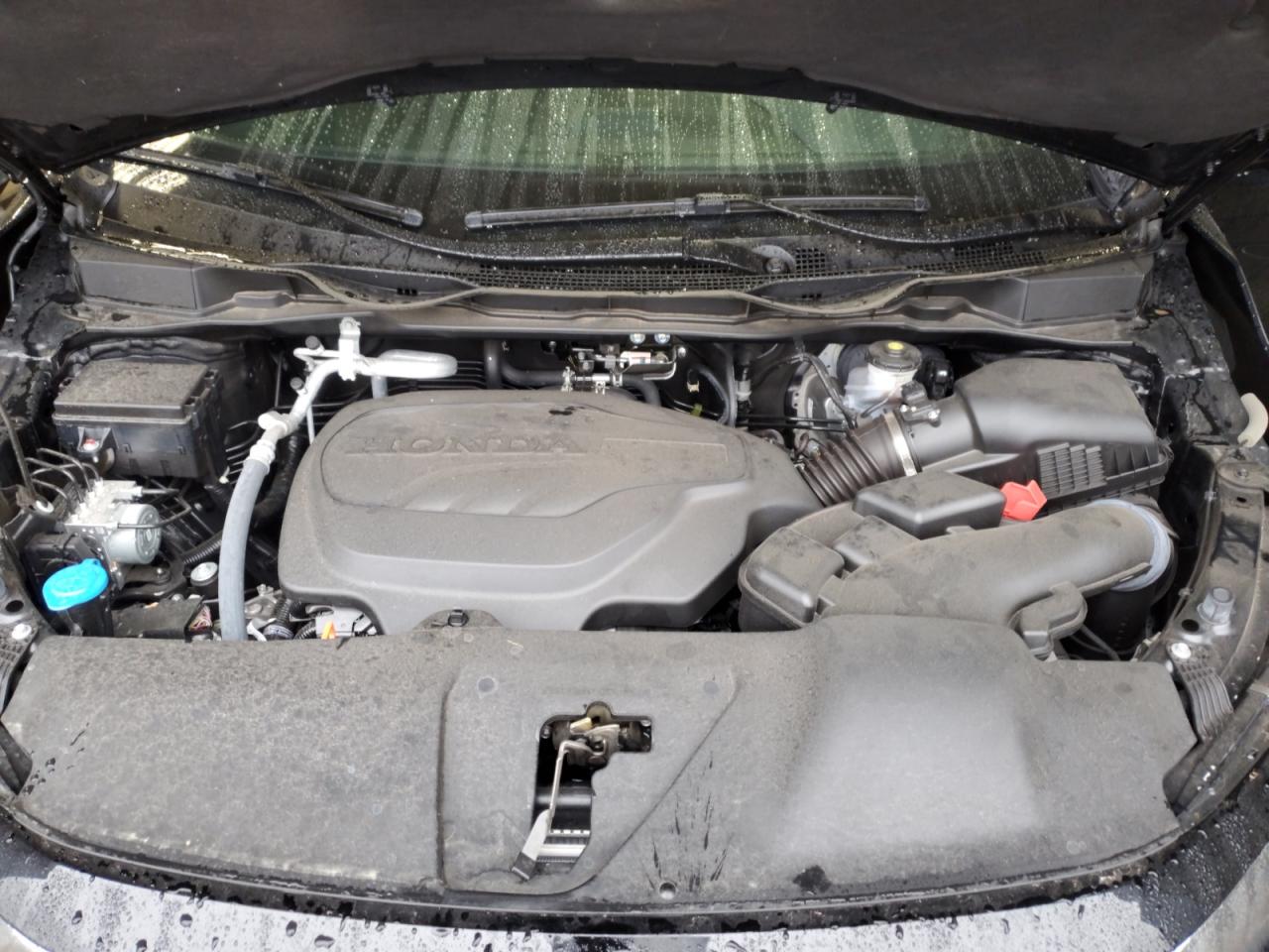 2024 HONDA ODYSSEY SPORT VIN:5FNRL6H72RB059777
